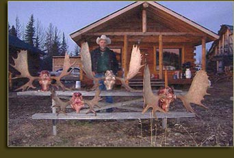 Guided Moose Hunts BC Canada